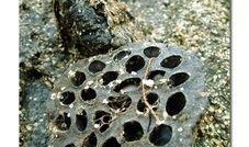 被遗弃的夏天,回忆中的青春碎片