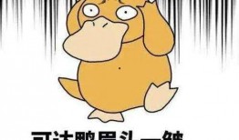 你好，来了,开启美好相遇的序章