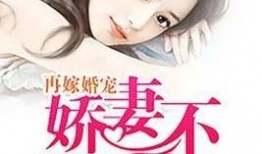 尊爷你的律政娇妻不好惹,娇妻逆袭，尊爷的甜蜜挑战