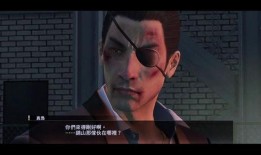 人中之龙,人中之龙传奇