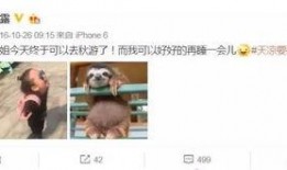 娱乐吃瓜酱被宠到骨子里