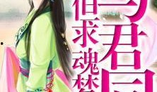 魂梦与君同,共赴君同之旅