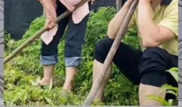 娱乐八卦是吃瓜群众的,吃瓜群众如何成为娱乐八卦的幕后推手