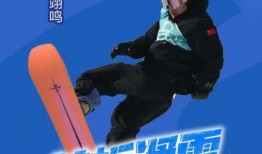 金牌梦想,追逐荣耀的竞技之路